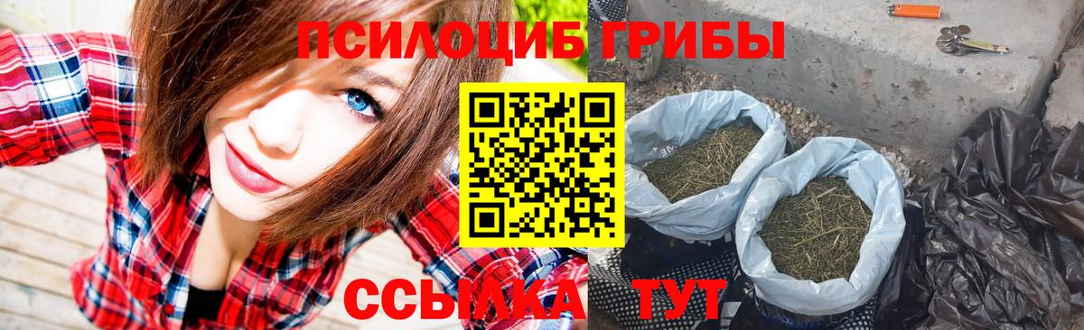 Галлюциногенные грибы мицелий  Вход с VPN  Бирск 